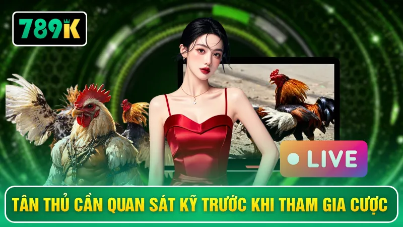 Tân thủ cần quan sát kỹ trước khi tham gia cược